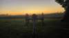 _060008_small.jpg